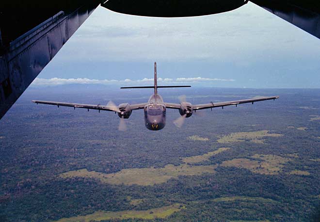 Caribou in flight