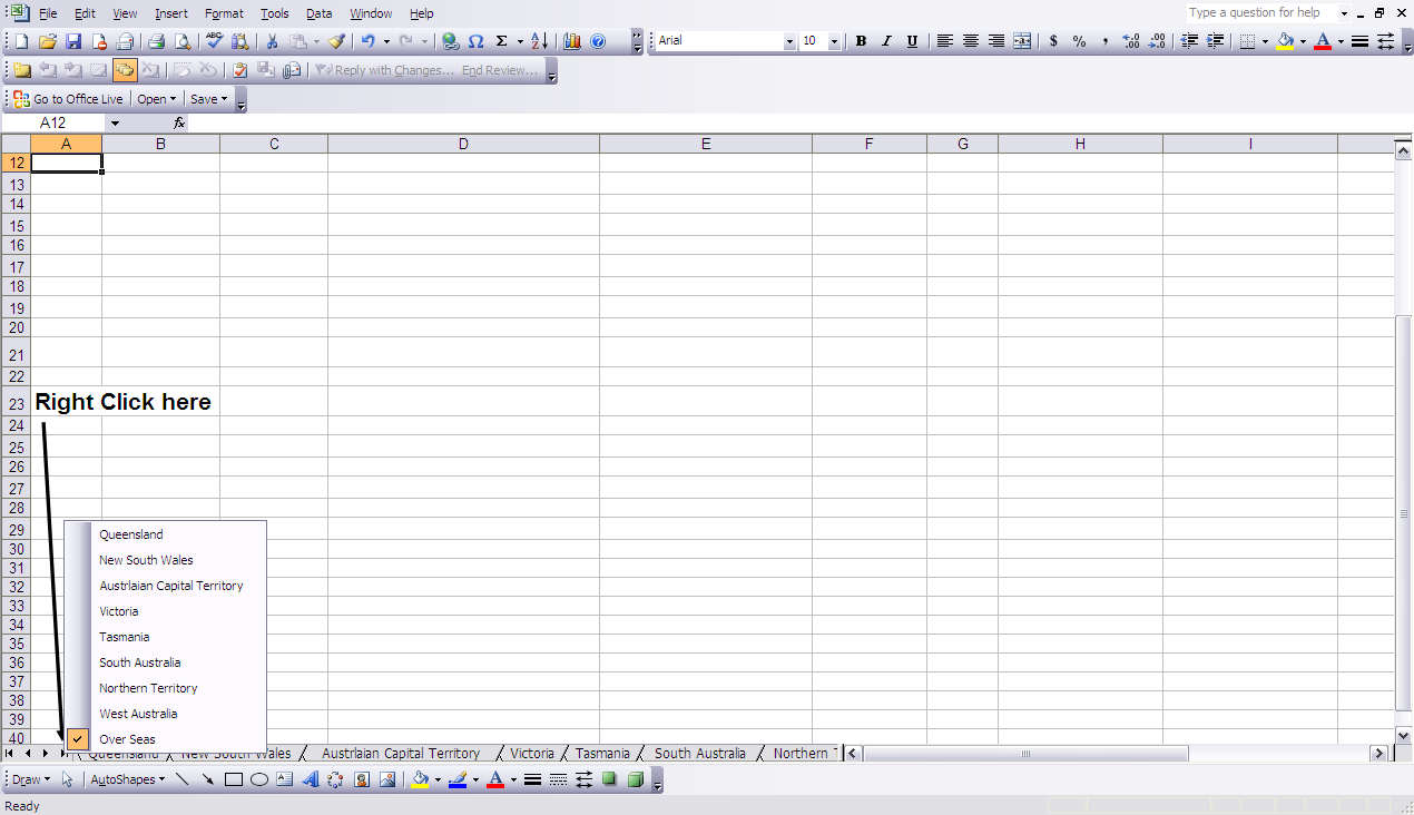 Excel worksheet (2)