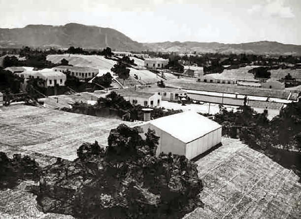 Lockheed factory under camouflage