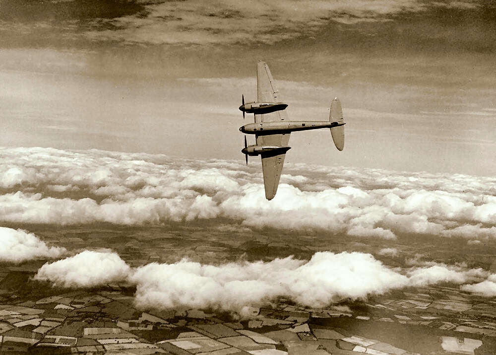 Mosquito in flight