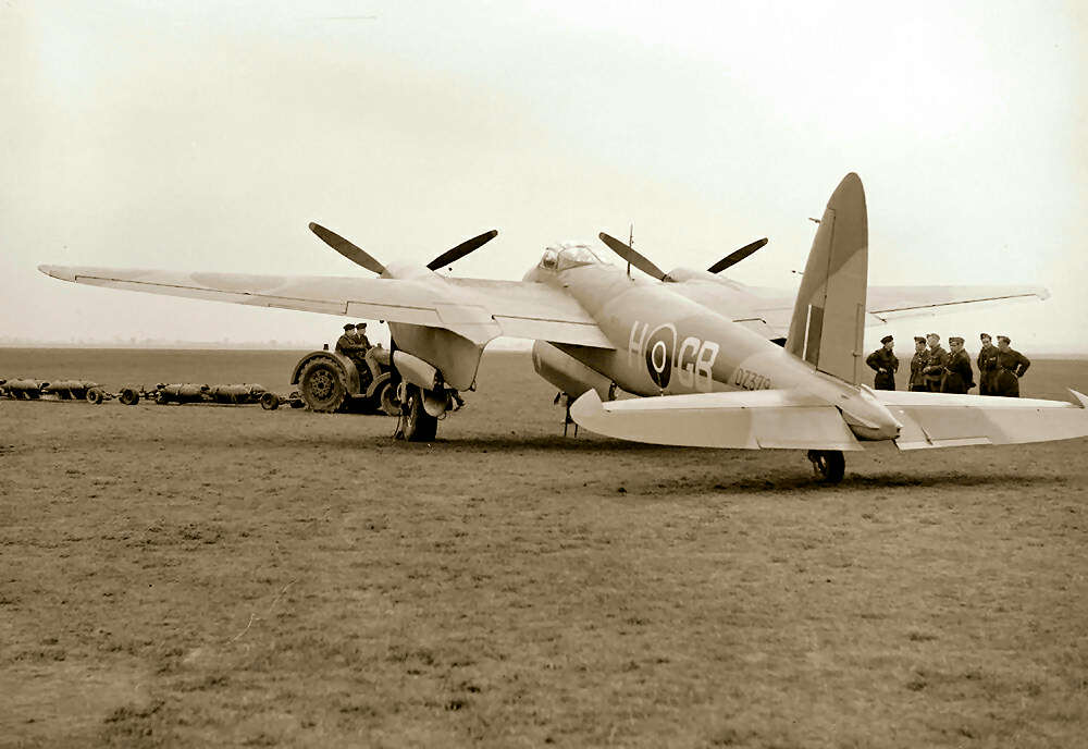 Mosquito from the rear