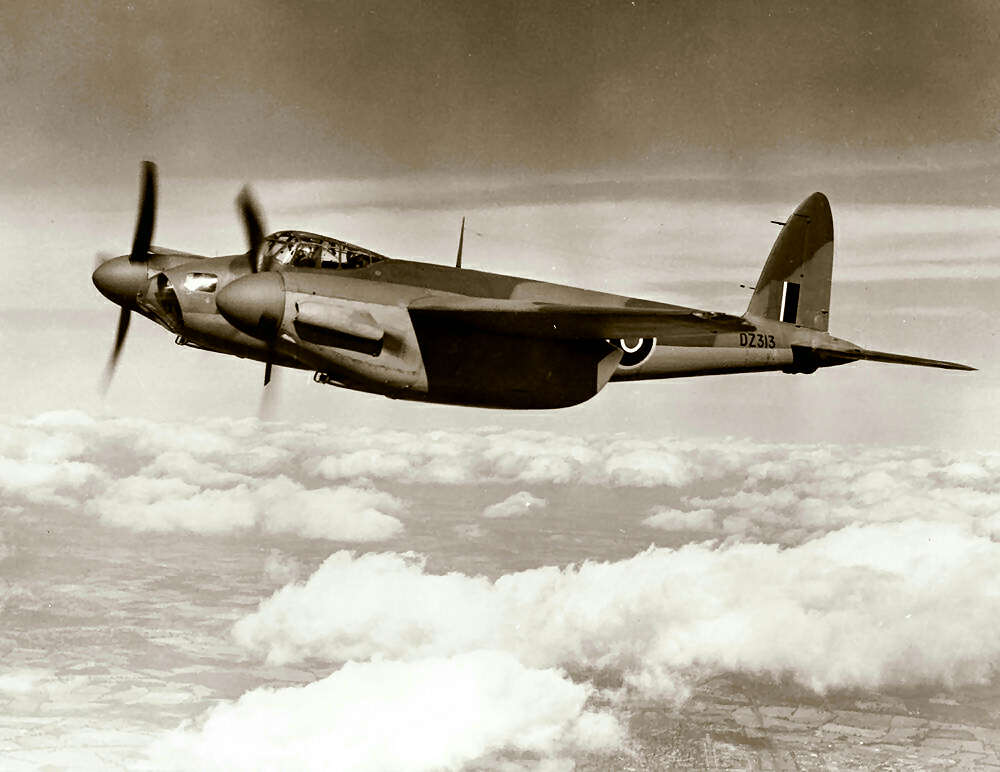 Mosquito in flight