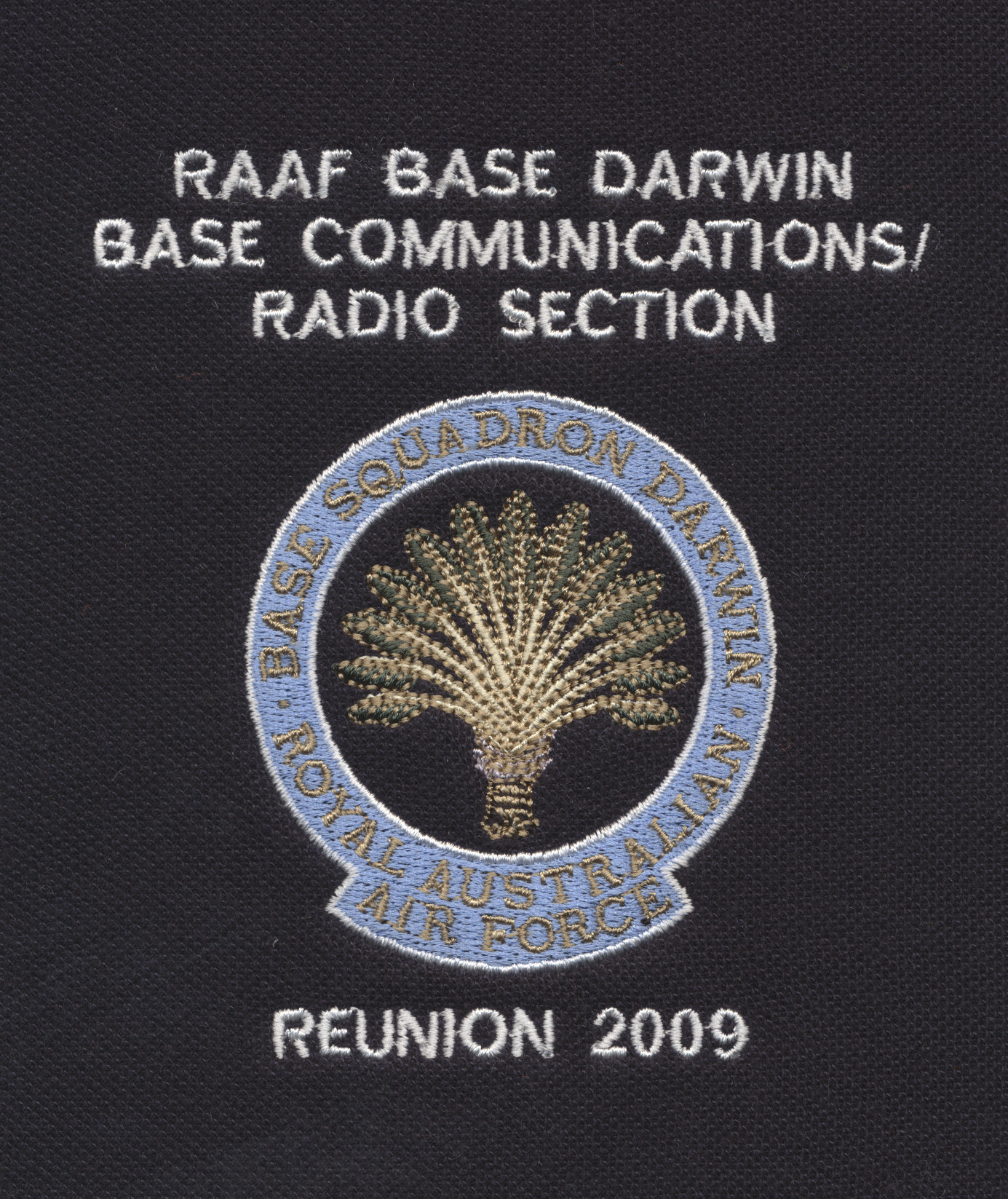 Darwin Reunion logo