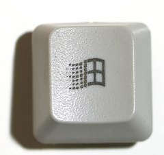 The Windows key