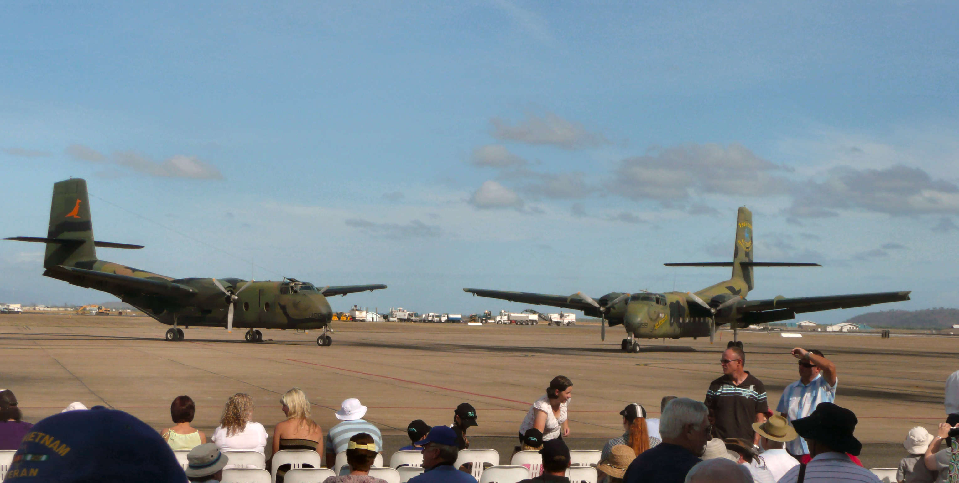 Caribous on parade