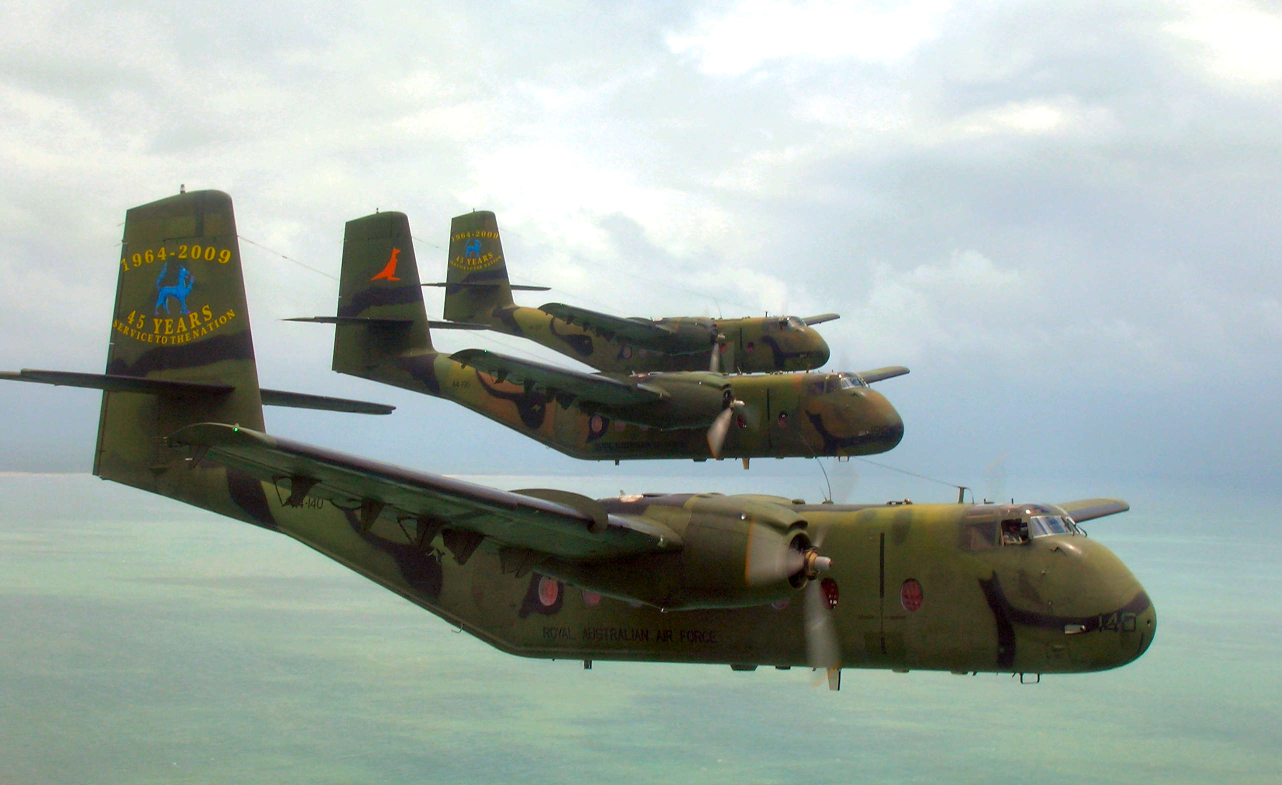 Caribous in flight