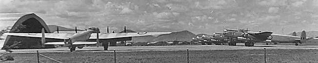 Long nose Lincolns at Townsville