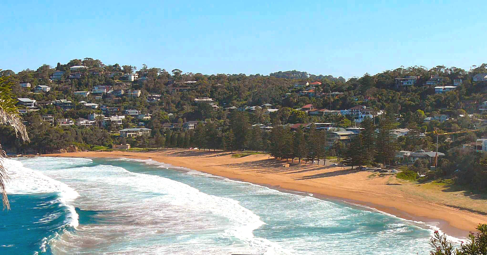 Whale Beach, NSW