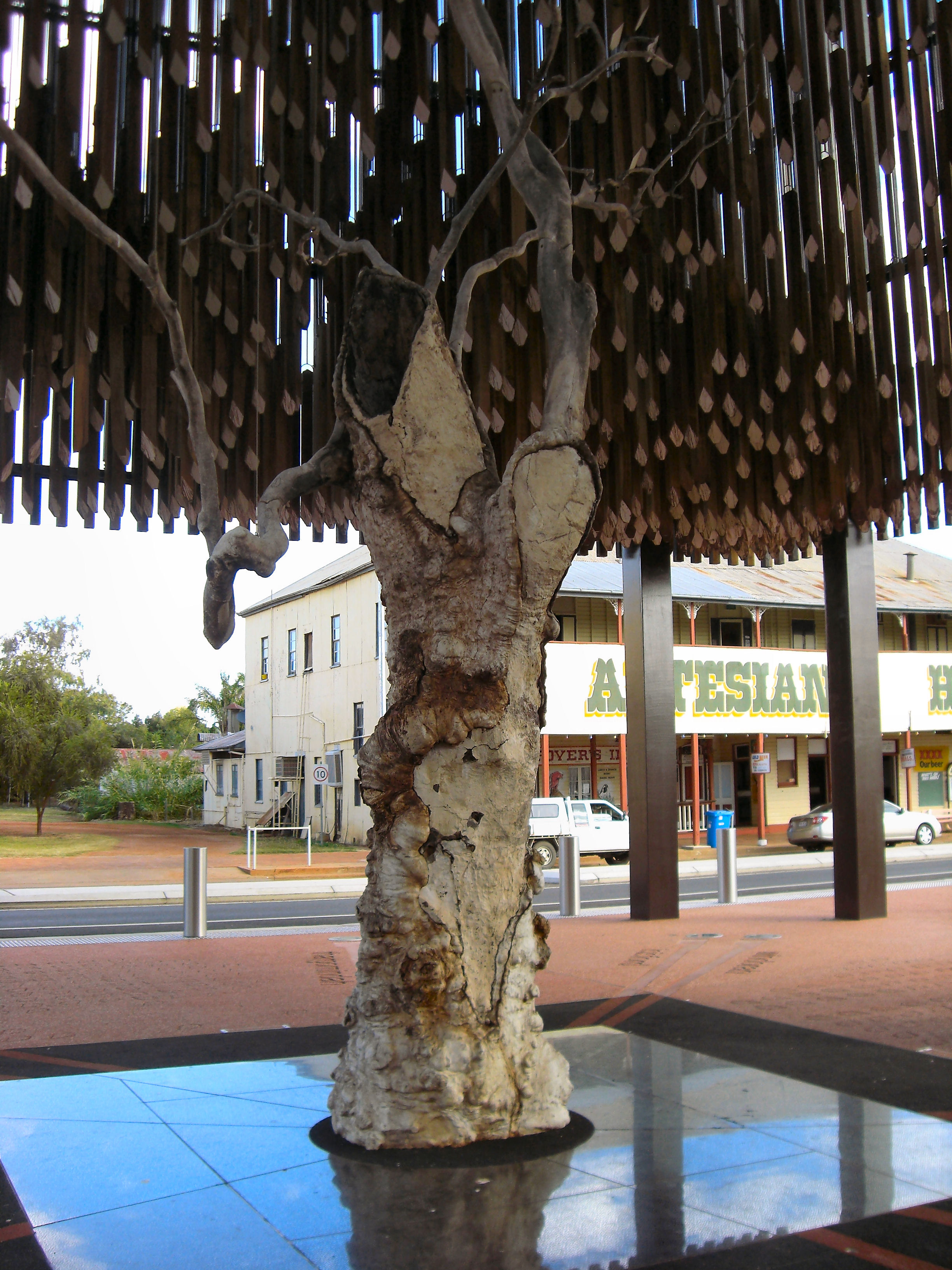 Tree of knowledge, Barcaldine