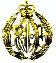 RAAF Airman's badge