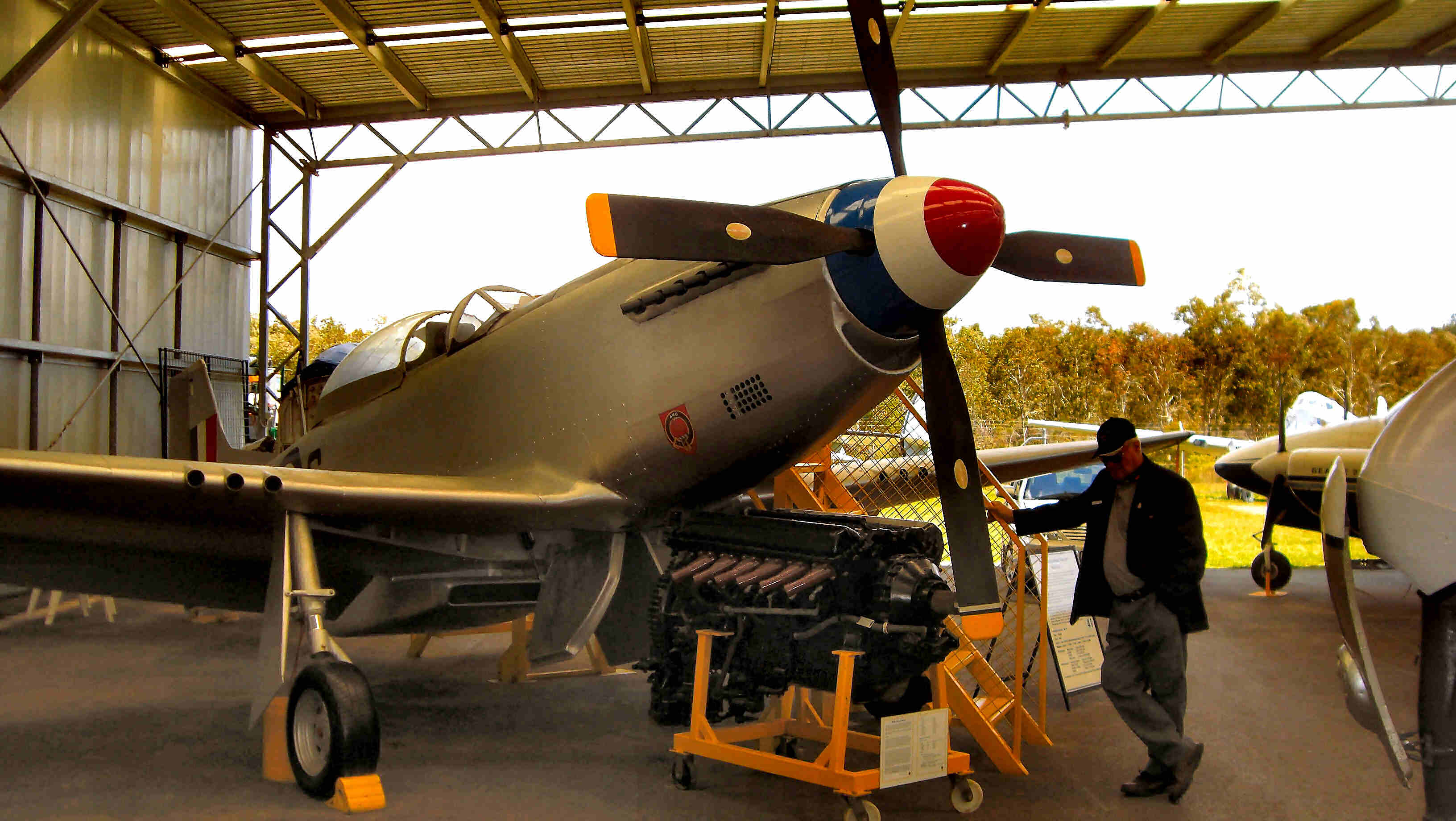 Gart Scott's Replica Mustang